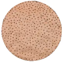 HMT-Schleifscheiben d= 200mm fein für ROKAMAT CHAMELEON/CHAMELEON CX per Paar, Z22405