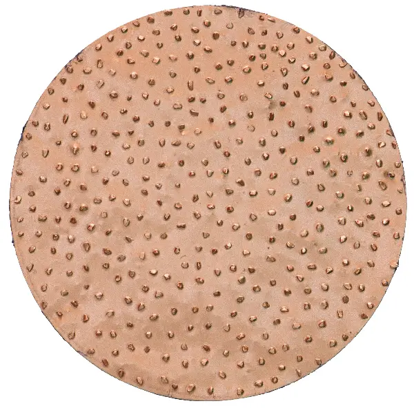 HMT-Schleifscheiben d= 200mm grob für ROKAMAT CHAMELEON/CHAMELEON CX per Paar, Z22905