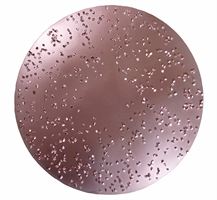 Disc abraziv HMT, D230mm, grosier, nr. 607 pentru ROKAMAT TITANO/HERON, Z0607