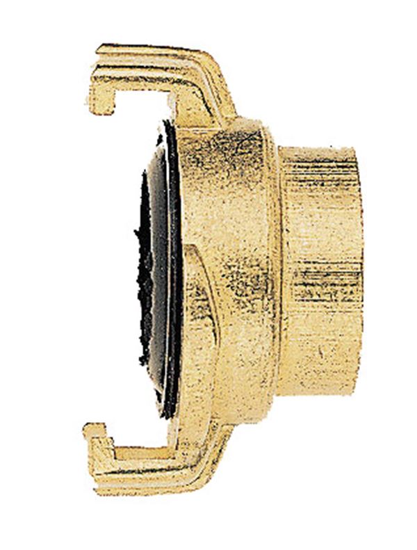 Cuplaj-gheară GEKA® cu F.Int., 1/2", 210buc/cutie, Z2512